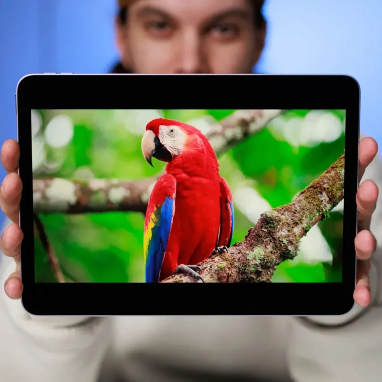تبلت ۱۱ اینچ اپل مدل iPad Air ۲۰۲۶ M۴ Wi-Fi ظرفیت ۱۲۸ گیگابایت و رم ۱۲ گیگابایت، رزولوشن دوربین اصلی ۱۲ مگاپیکسل، پشتیبانی از قلم و کیبورد