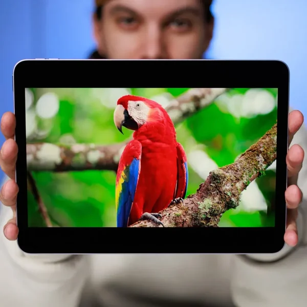 تبلت 13 اینچ اپل مدل iPad Air 13 2025 M3 Wi-Fi ظرفیت 256 گیگابایت و رم 8 گیگابایت - تصویر 27